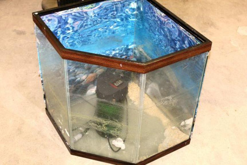 Unique Shaped Fish Tank bouncybouncyyy