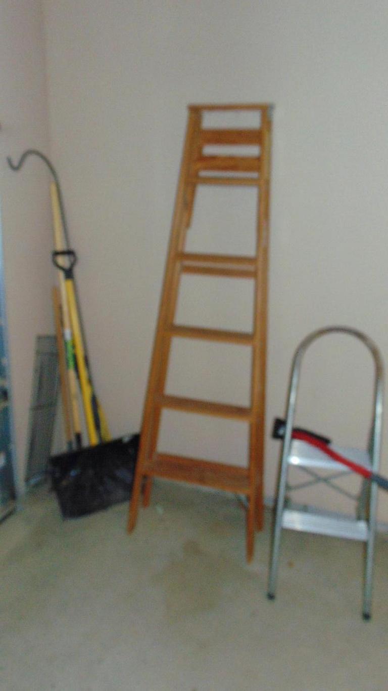 Auction Ohio Werner Ladder & Contents