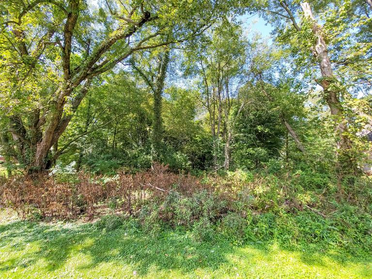 Auction Ohio ABSOLUTE AUCTION 0.54 Acre Residential Wooded Building