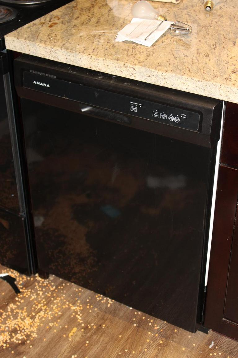 Auction Ohio Amana Dishwasher