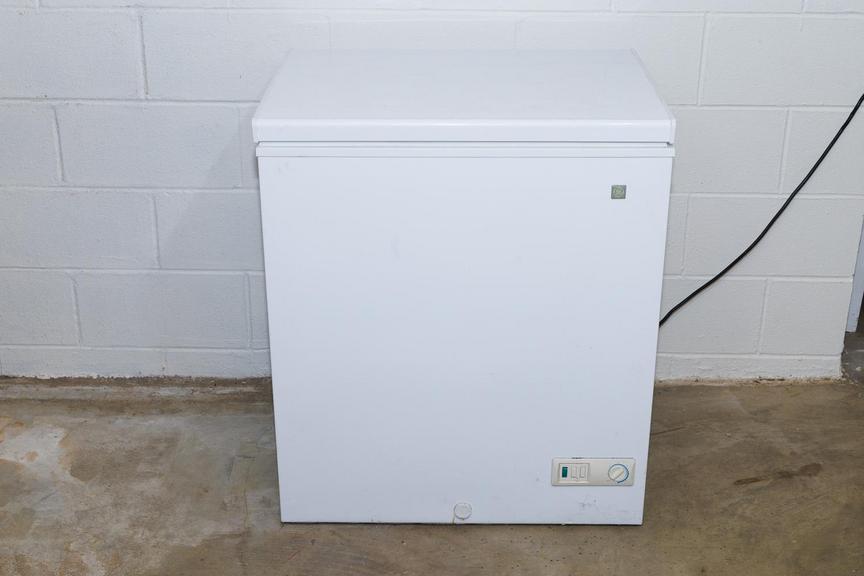 Auction Ohio GE Chest Freezer