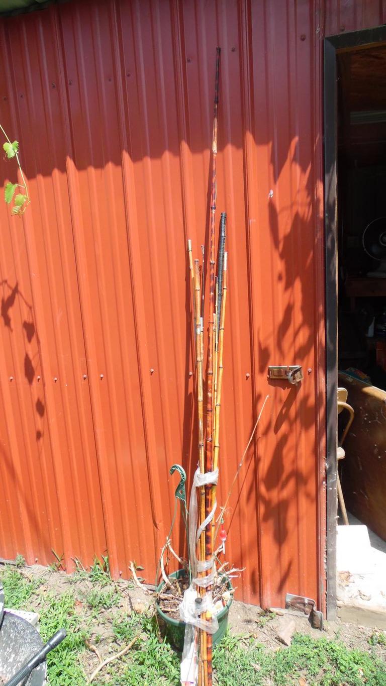 Auction Ohio Cane Fishing Poles