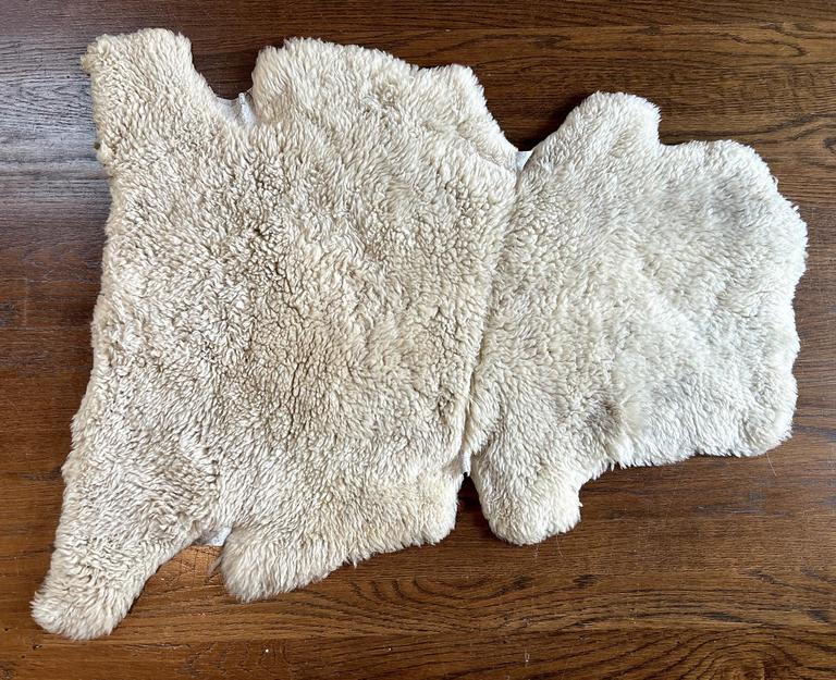 Auction Ohio Polar Bear Fur Rug