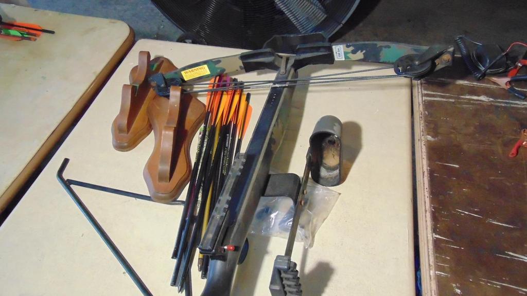 Auction Ohio Crossbow & Wall Mount & Misc.