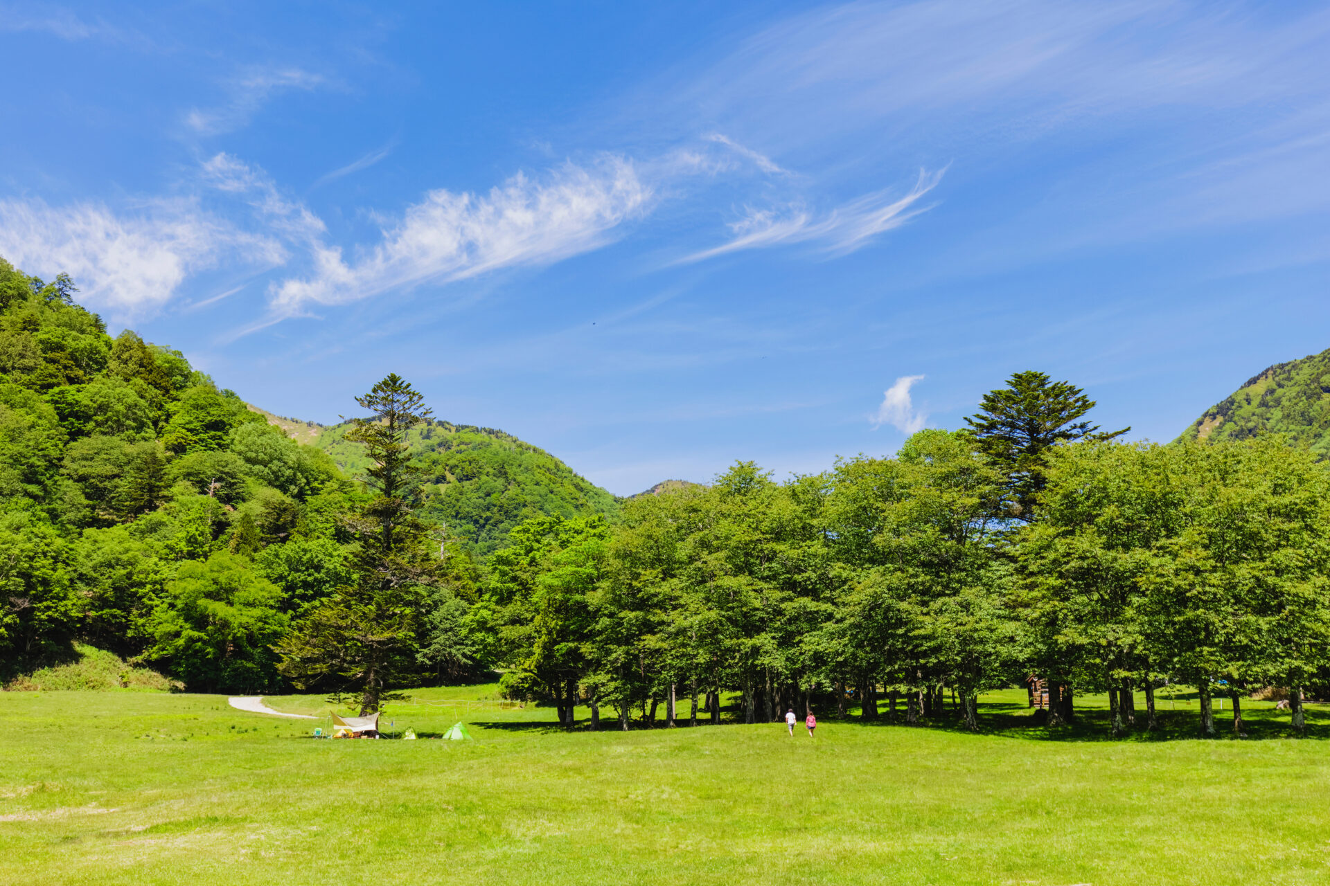 トップ｜Harmony Natural&Resort