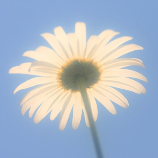 アラフォー独女の葛藤と生きる力。正解なんて分からない。自分で決めて進むしか。 自分の人生を自分の力でキラキラさ
