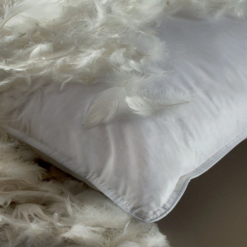 Feather Pillows vs. Goose Down Pillows Allinclusive Choose