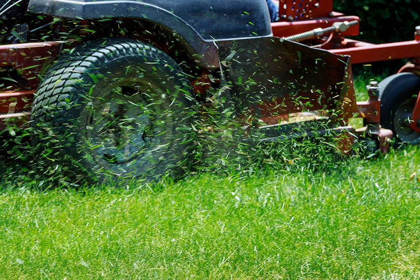 Weekly Mowing AOK 9524317282