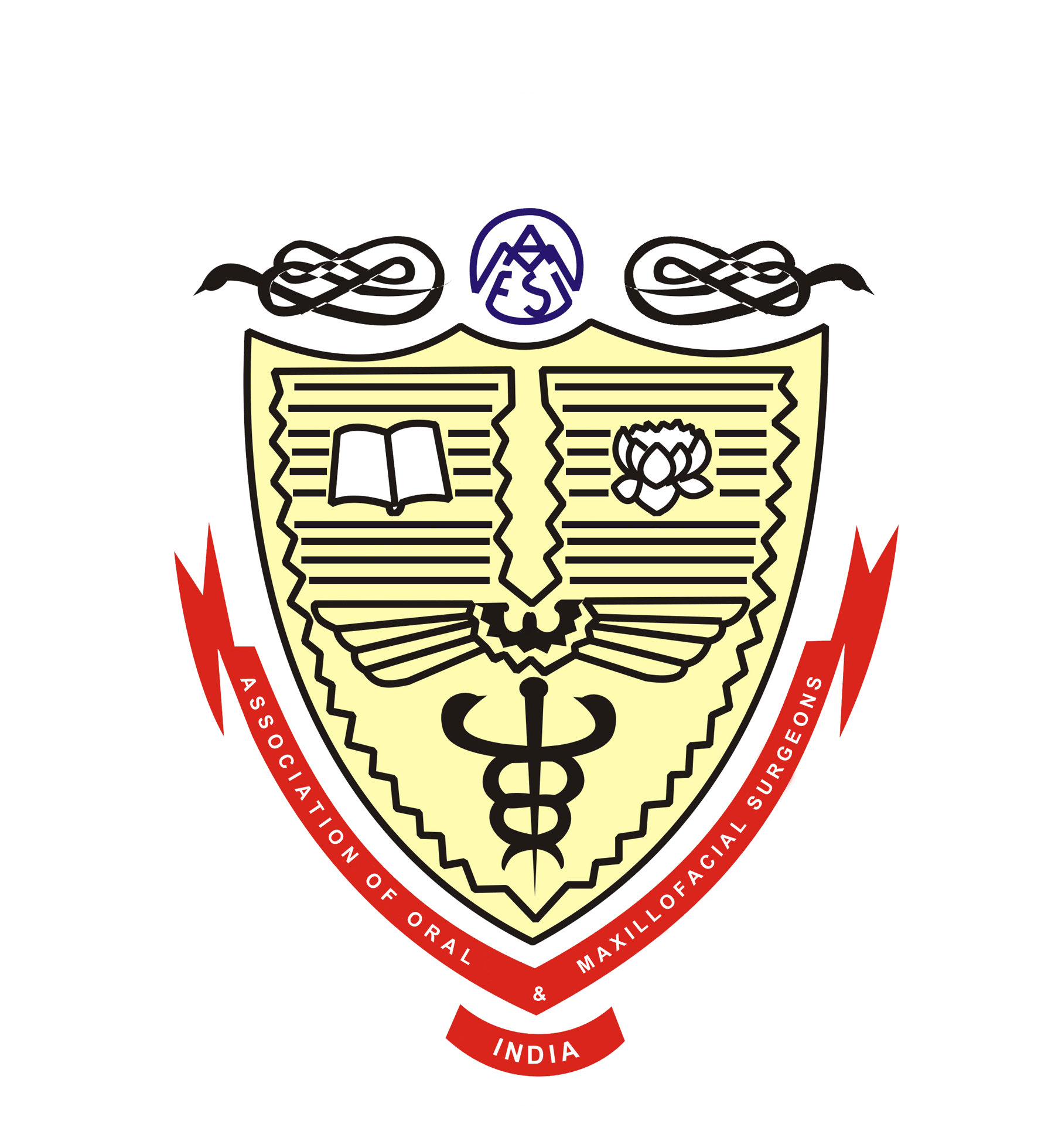 Association of Oral and Maxillofacial Surgeons of India