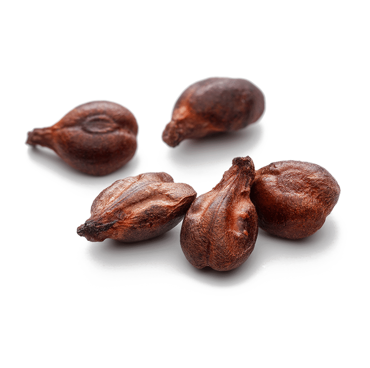 Grape Seed healthy Metabolism AOR Inc. Canada