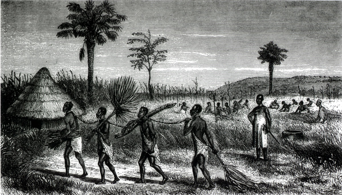 The Middle Passage Atlantic Slave Trade AoxoA