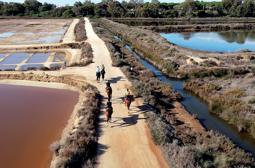 Horseback Riding AP HOTELS & RESORTS