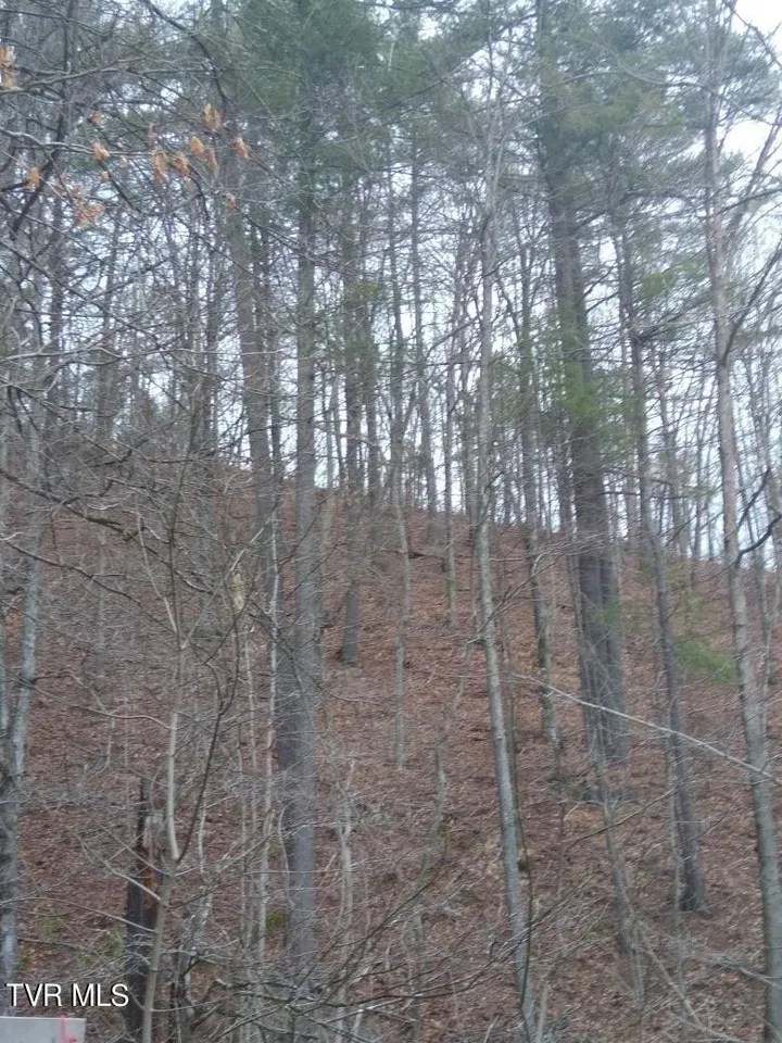 For Sale 252 Bear Hollow Rd, Bristol, TN 37620