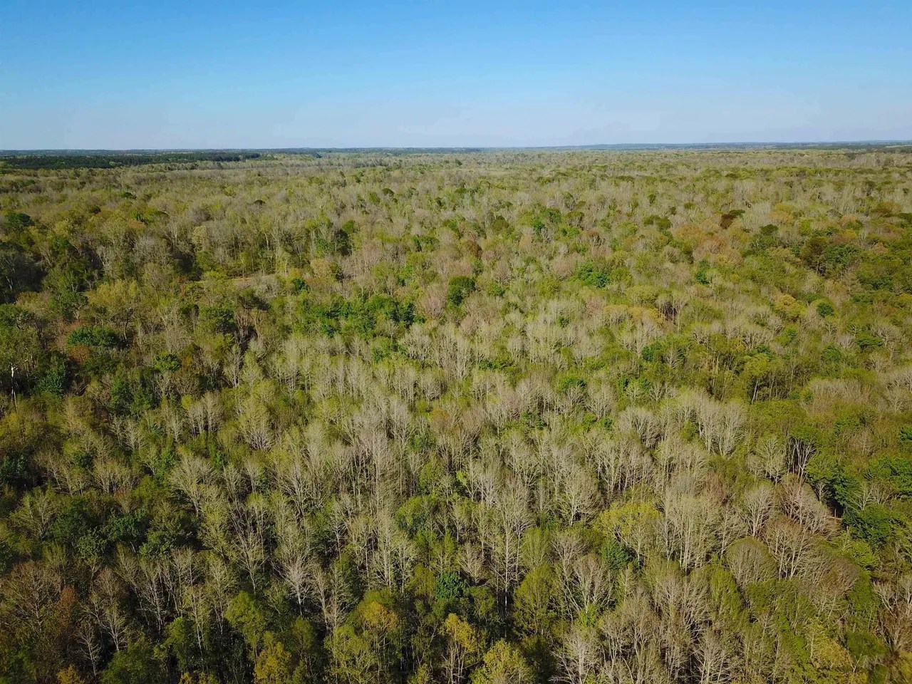 For Sale Natchez Trace Pky, Kosciusko, MS 39090