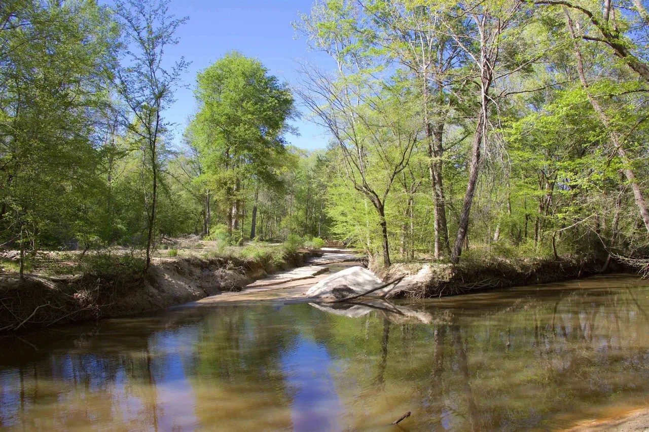 For Sale Natchez Trace Pky, Kosciusko, MS 39090