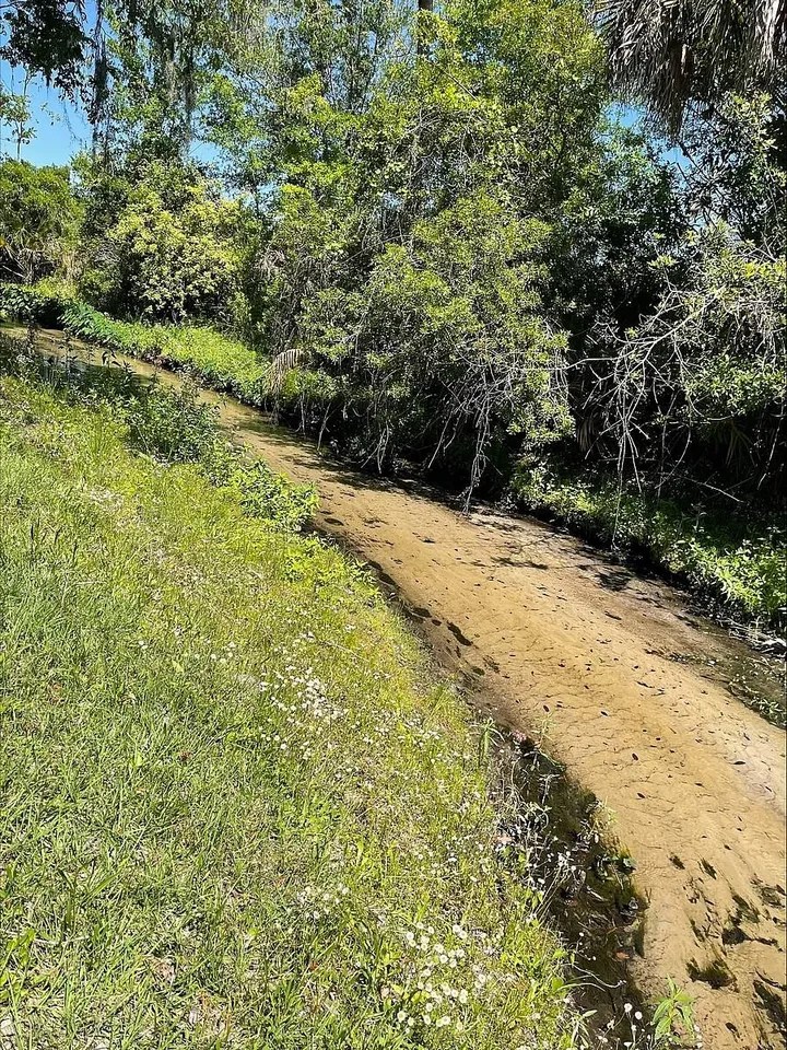 For Sale 10 Ivanhoe Ct, Kissimmee, FL 34746