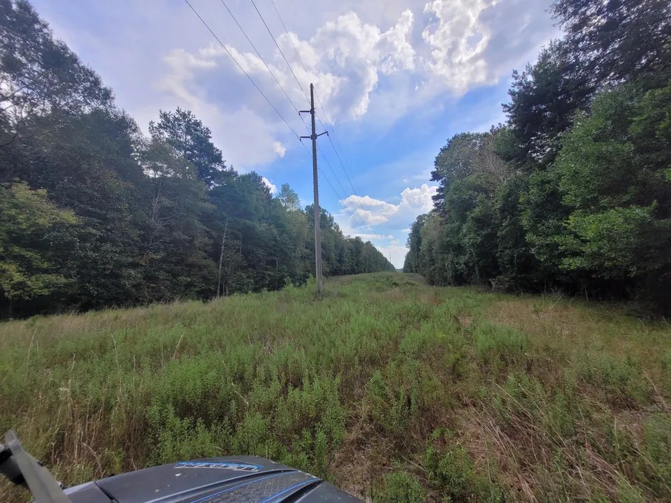 40 Acres Mol, Richton, MS 39476