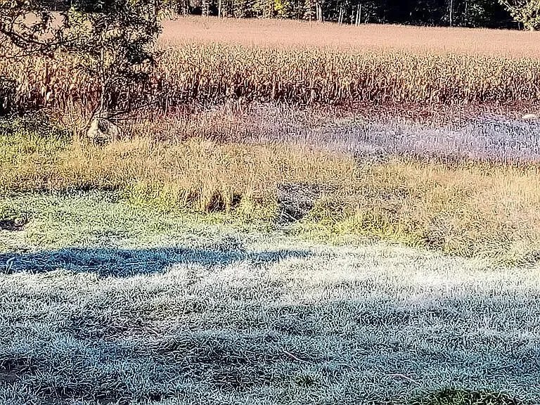 4275 N Rolland Rd, Weidman, MI 48893