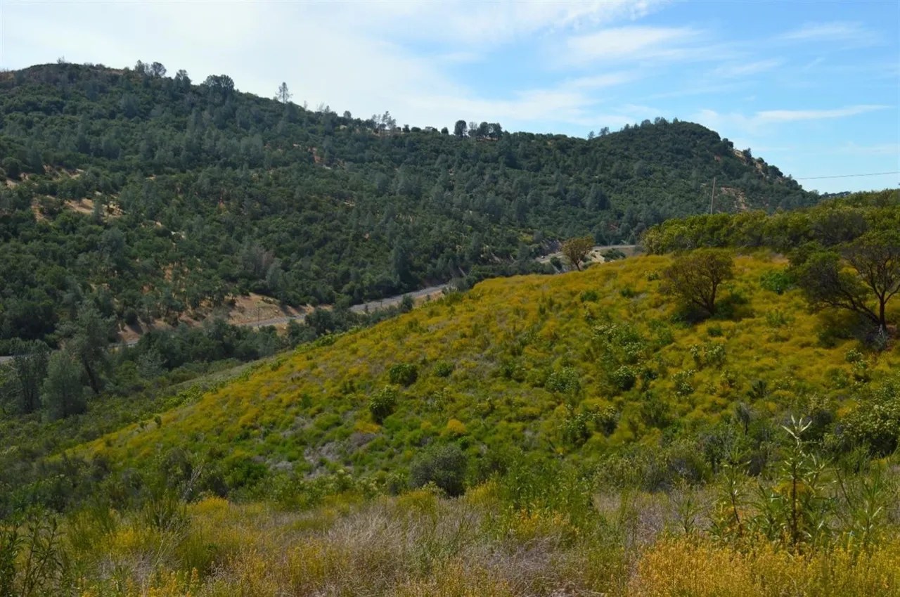 5029 Moaning Cave Rd, Vallecito, CA 95251