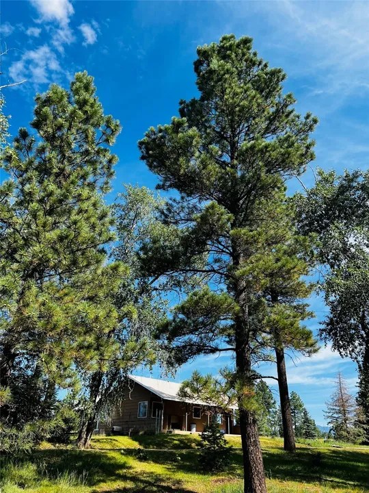 2759 South Hwy 84/64, Chama, NM 87520 500,000