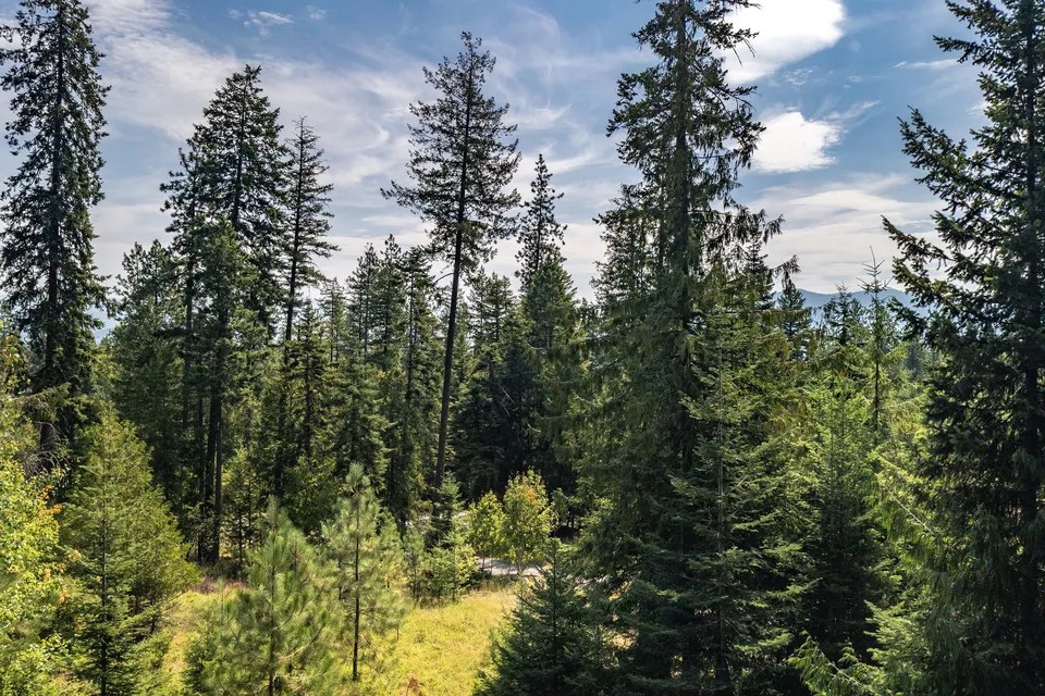 1728 Gooby Rd, Sandpoint, ID 83864 199,000