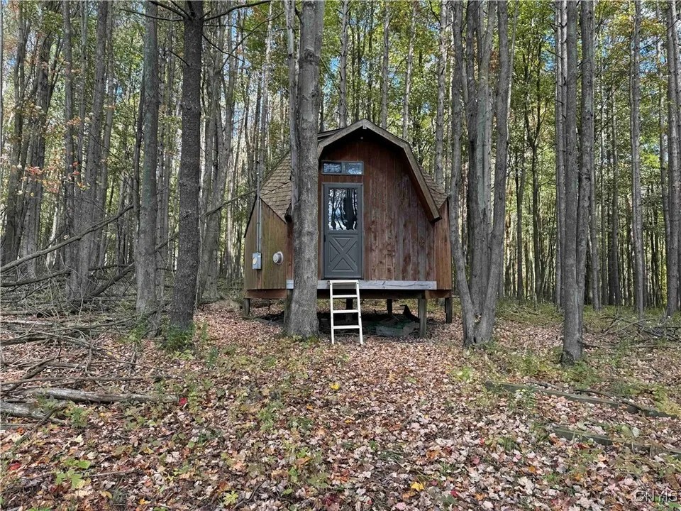 Centerville Rd, Houghton, NY 14744 54,900