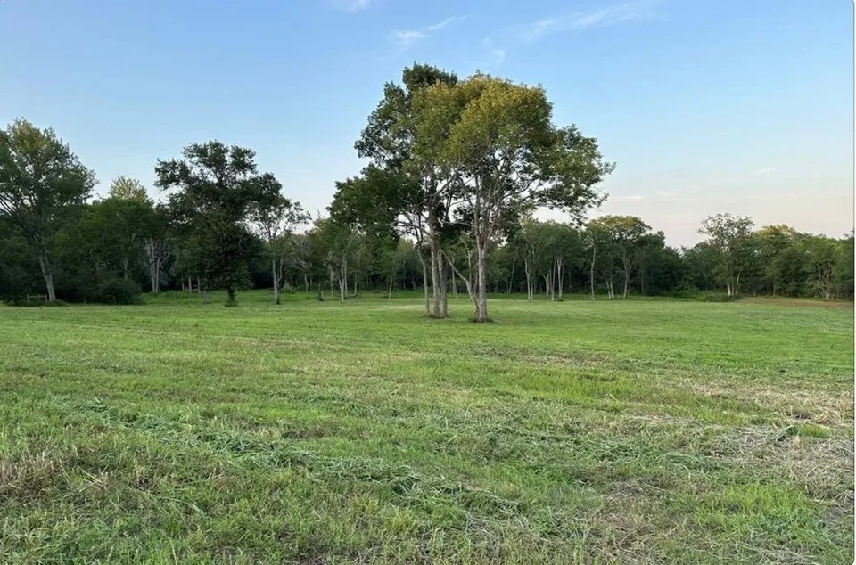 612 Worsham St, Montgomery, TX 77316 1,348,000