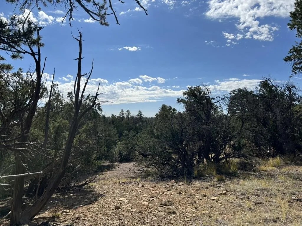 For Sale 17 Hastings Loop, Ramah, NM 87321