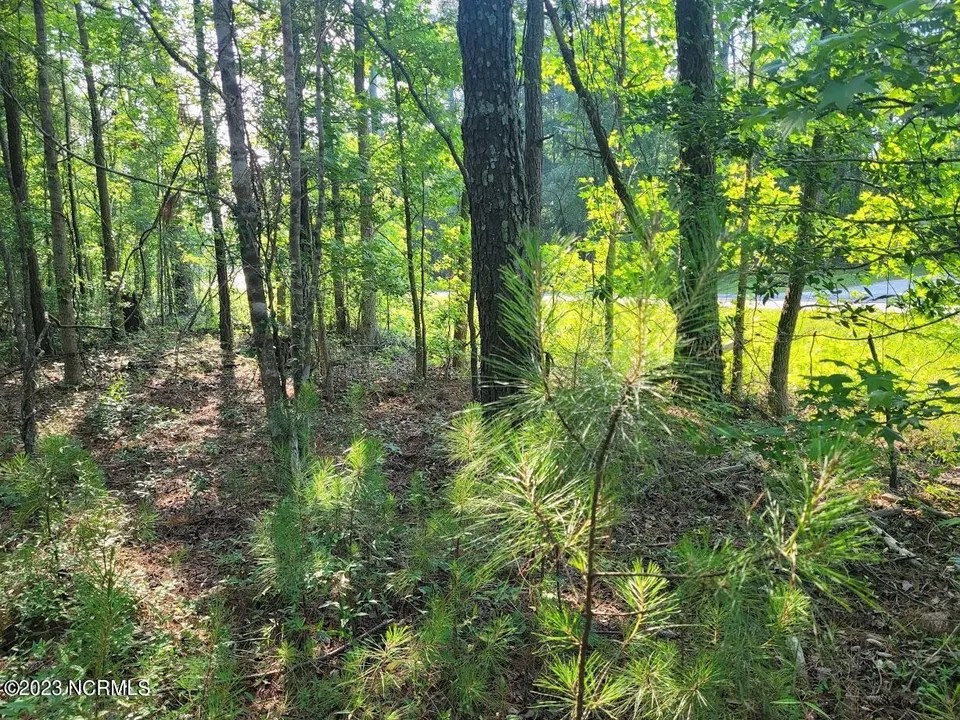 Holden Beach Rd, Shallotte, NC 28470