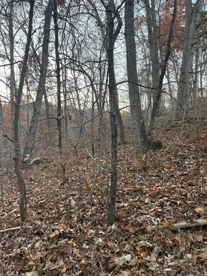 170 Patsy Rd, Irvine, KY 40336