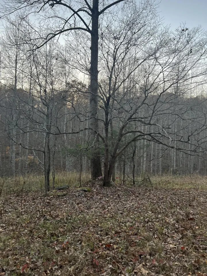 170 Patsy Rd, Irvine, KY 40336