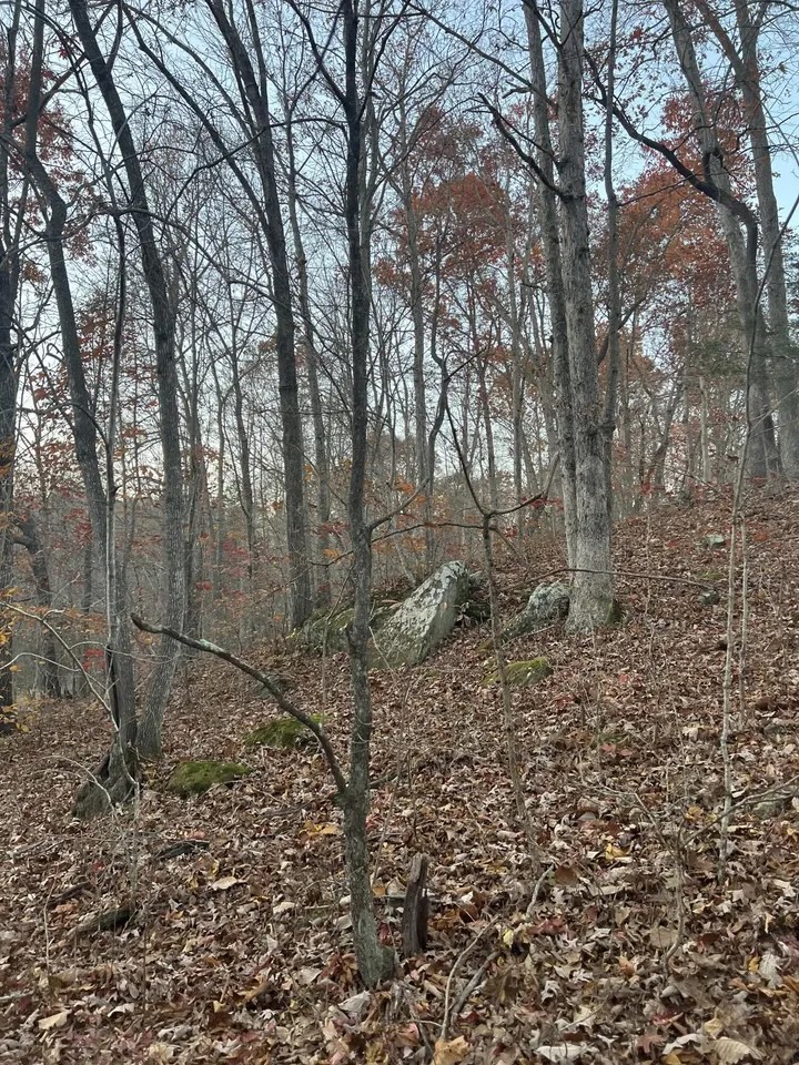 170 Patsy Rd, Irvine, KY 40336