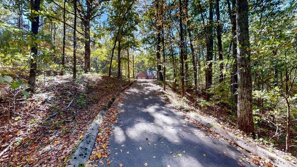 For Sale 200 Hinchey Cemetery Rd, Paris, TN 38242