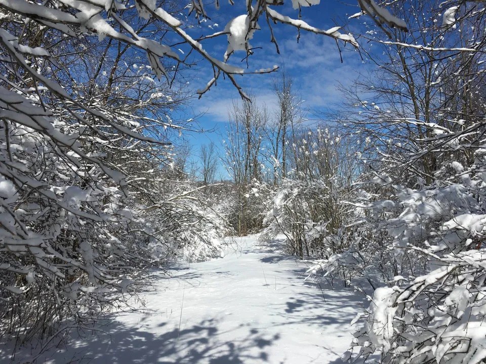 Trout Lake Rd Lot B, Hermon, NY 13652