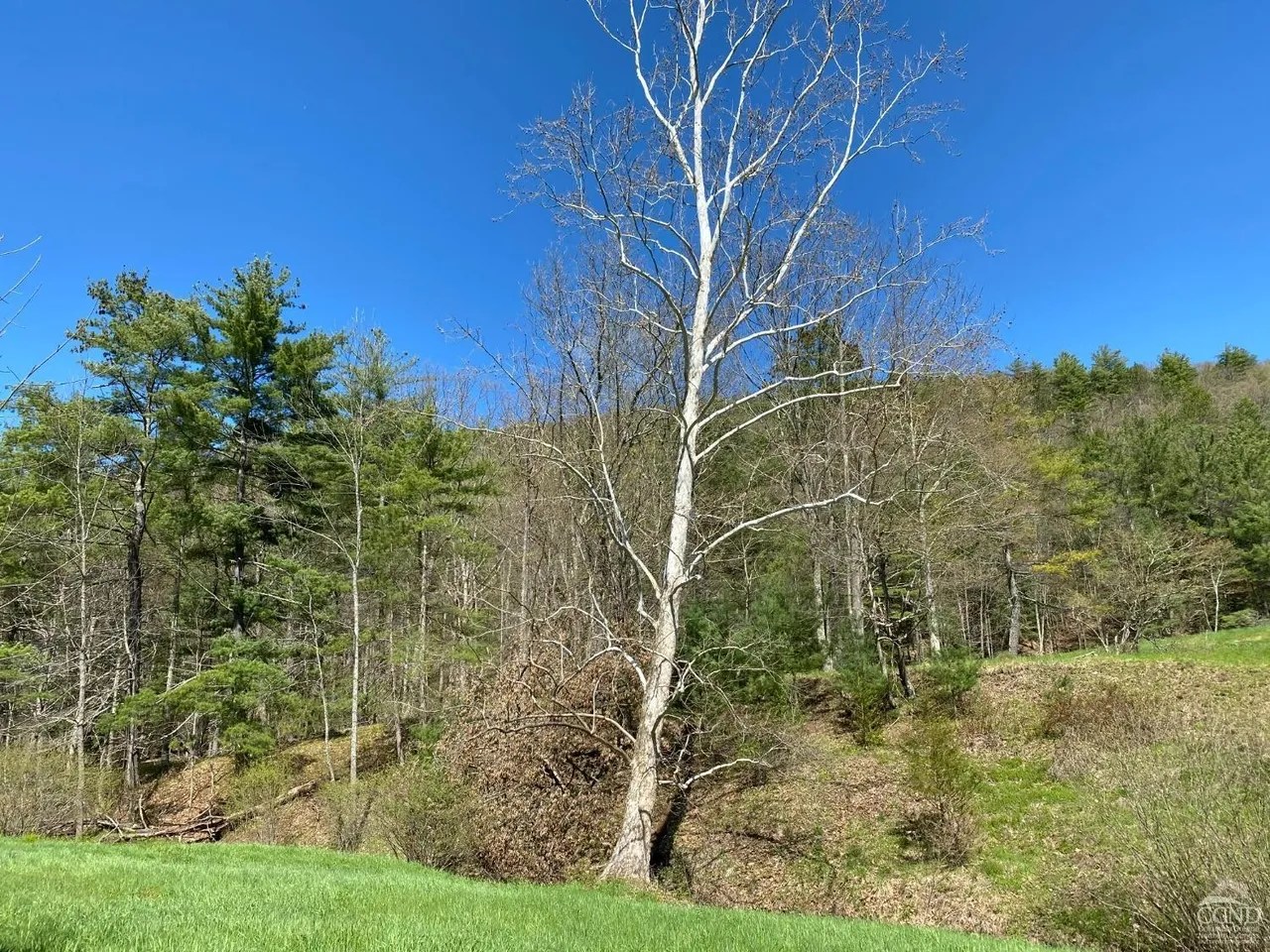 For Sale 510 Mill Valley Rd, Middleburgh, NY 12122