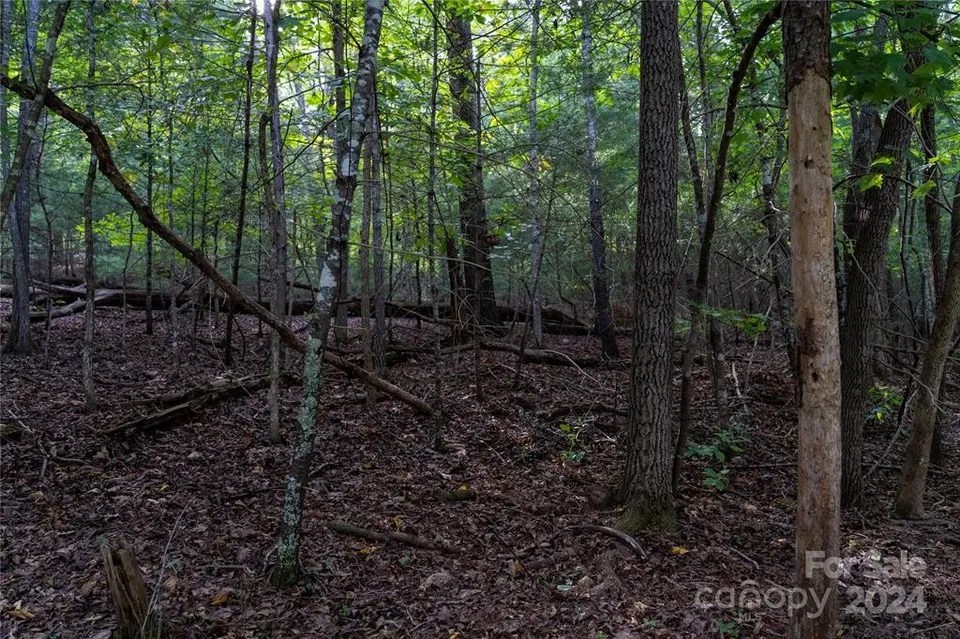 Swans Way E Units 249 & 250, Lake Lure, NC 28746