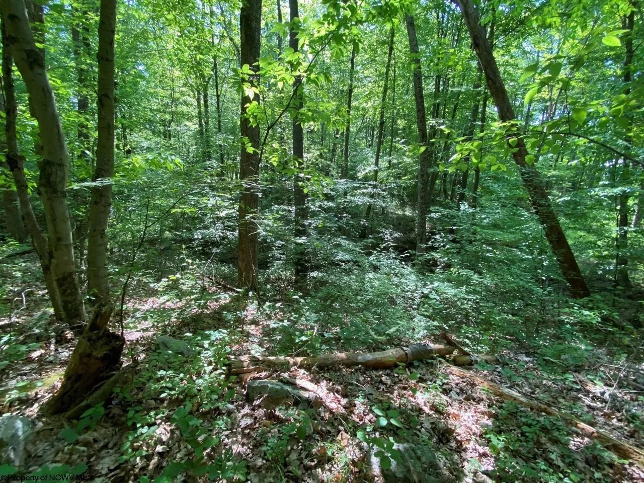 For Sale Tract C Halleck Rd, WV 26508