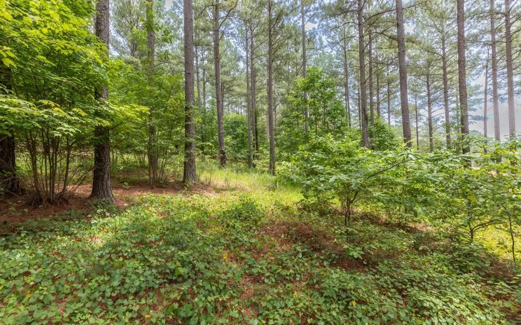 Lt170 the Stables in 1300 Lot 170, Blairsville, GA 30512