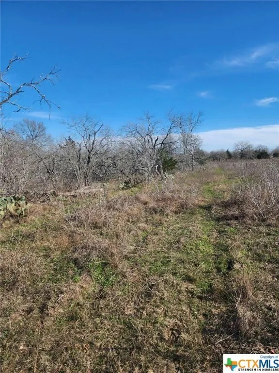 For Sale County Road 420, Waelder, TX 78140