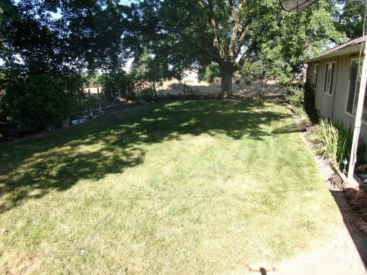 For Sale 9582 E Harney Ln, Lodi, CA 95240