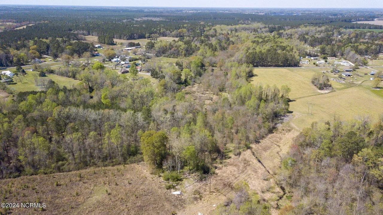 Brinkley Ln, Watha, NC 28478