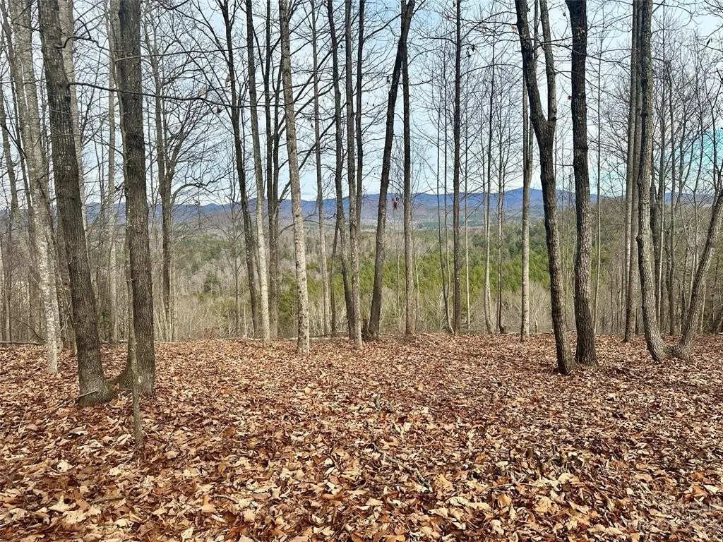 Woodgate Dr Unit 41, Bostic, NC 28018