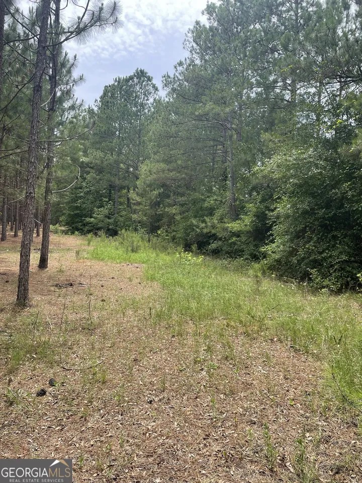 For Sale 1713 Hurst Rd, Tennille, GA 31089