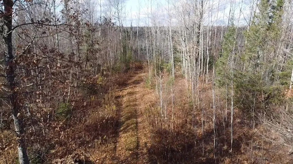 Old Smith School Ln, Armstrong Creek, WI 54103 50,000