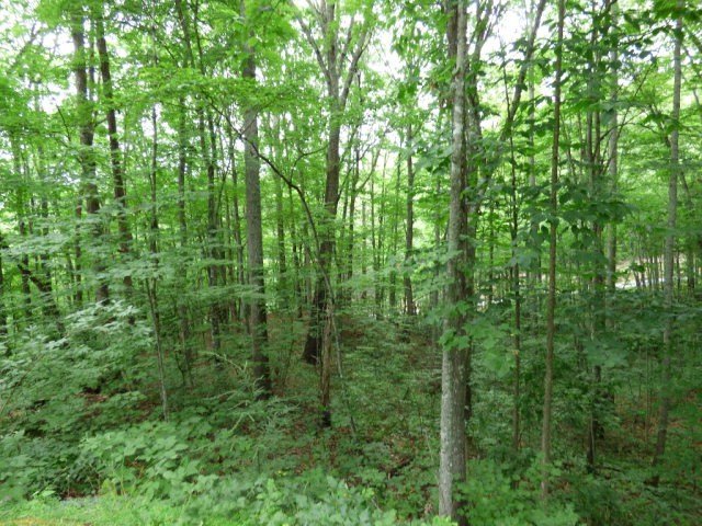 232 Waccamaw Trl, Sylva, NC 28779