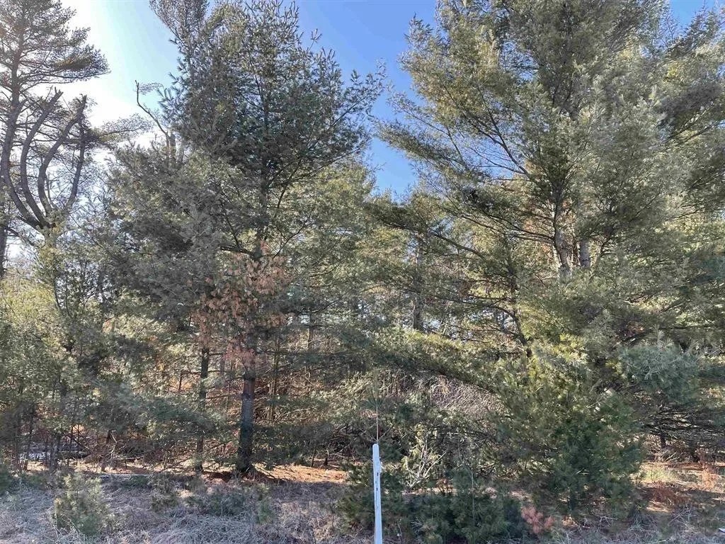 For Sale Verde Villa Dr Lot 28, Hatley, WI 54440