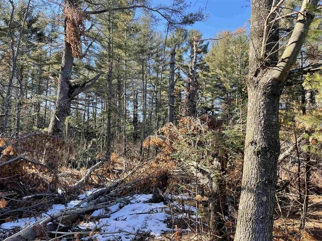 For Sale Verde Villa Dr Lot 28, Hatley, WI 54440