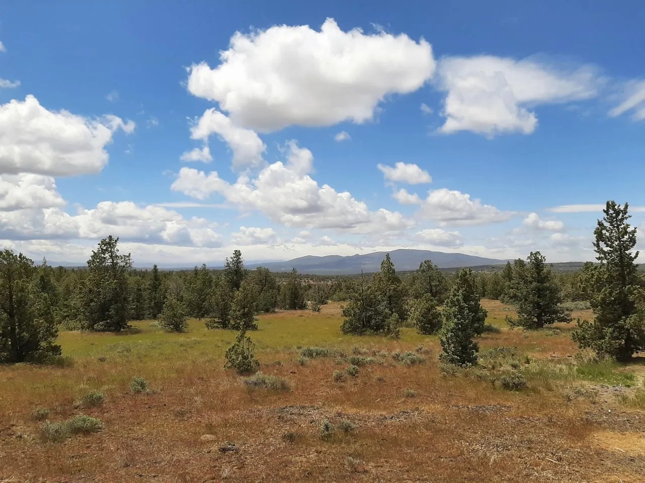 For Sale 10225 SE Ridge View Rd, Prineville, OR 97754