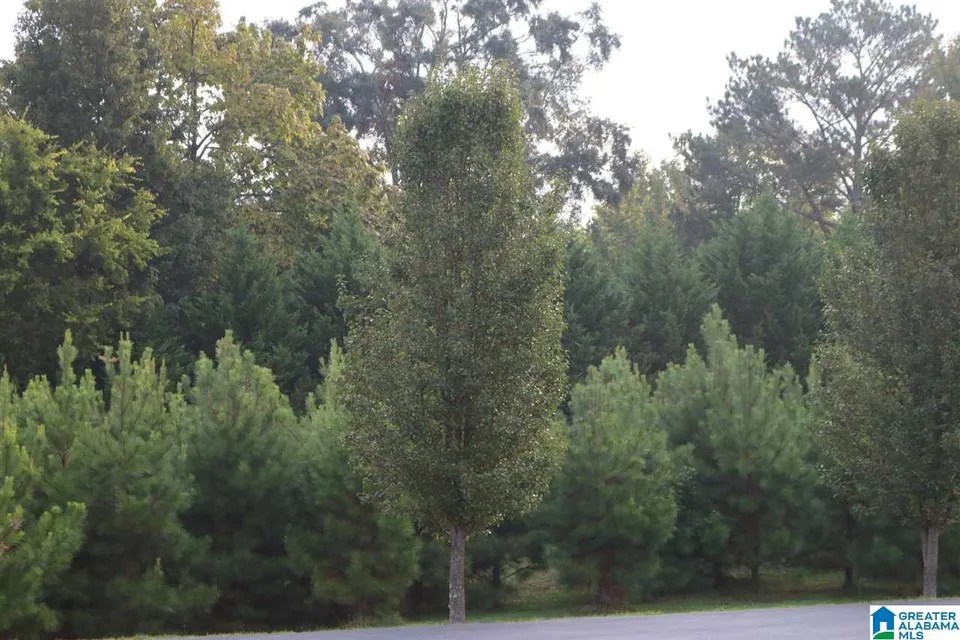 252 Parkview Dr Lot 35, Sylvan Springs, AL 35118 15,000