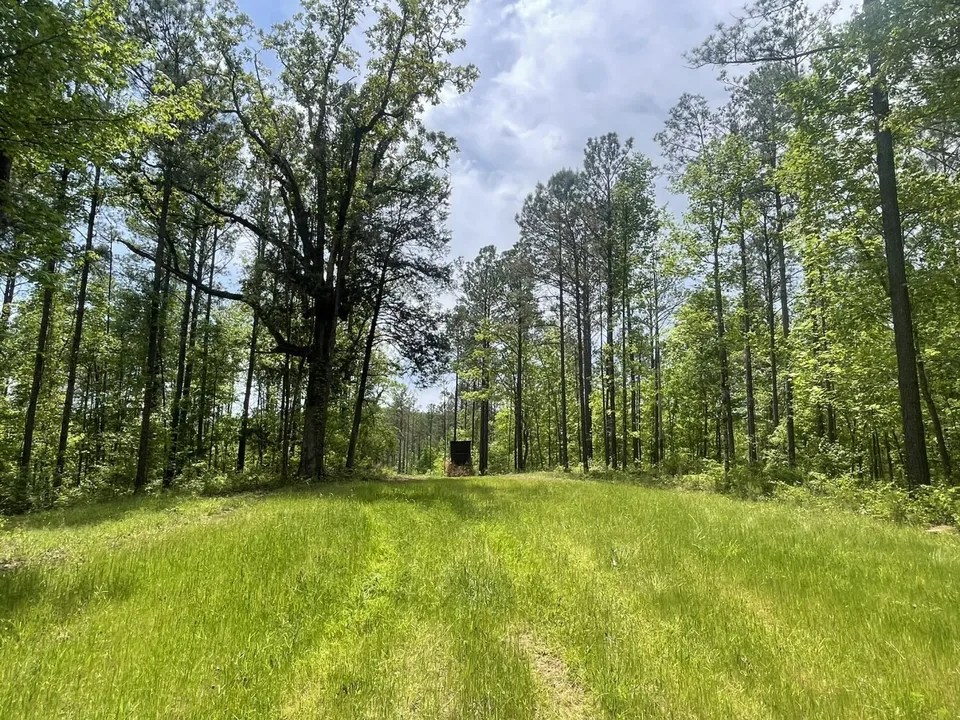 Smoketree Rd, Northport, AL 35475 405,000